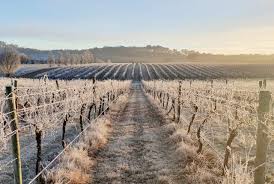 Find what to do today, this weekend, or in july. How To Make The Most Of A Visit To Central Nsw Travel Insider
