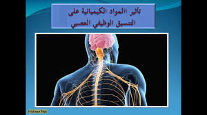 Последние твиты от التنسيق الوظيفي (@altnsyq). ØªØ§Ø«ÙŠØ± Ø§Ù„Ù…ÙˆØ§Ø¯ Ø§Ù„ÙƒÙŠÙ…ÙŠØ§Ø¦ÙŠØ© Ø¹Ù„Ù‰ Ø§Ù„ØªÙ†Ø³ÙŠÙ‚ Ø§Ù„ÙˆØ¸ÙŠÙÙŠ Ø§Ù„Ø¹ØµØ¨ÙŠ 4 Ù…ØªÙˆØ³Ø· Youtube