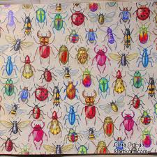 Secret Garden Johanna Basford Clara Ortega Escarabajos Jardines Secretos Jardin Secreto Libro De Colores