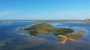 A ria formosa, uma zona húmida situada entre o mar e a costa do algarve, foi eleita uma das 7 maravilhas naturais de portugal. Olhao Ria Formosa Boat Cruise Getyourguide