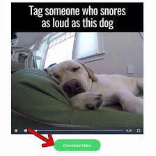 Download any video from facebook™ easily this extension allows downloading videos from facebook.com. How To Download Facebook Videos Using Chrome Extension Getfvid Com