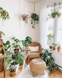 The Flowerpot Life Posted On Instagram What An Aesthetic Room Would You Like To Live Here Coffee Room With Plants Plant Decor Indoor House Plants Decor