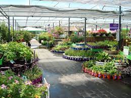 Palmers Miramar Palmers Garden Centre Www Palmers Co Nz Palmers Garden Centre Garden Center Garden