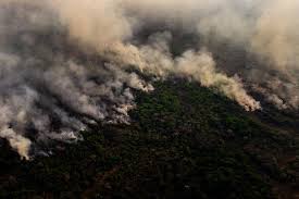Check spelling or type a new query. Brazil Faces Severe Drought As Covid Deaths Approach 500 000 The New York Times