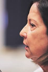 Desde Bs. Aires impulsan plan para un tren bioceánico a Talcahuano