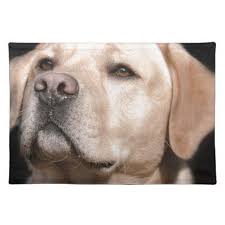 Labrador Cloth Placemat Petgifts Pet Gifts Giftideas Giftidea Petlovers Dog Names Boy Dog Names Boy Puppy Names