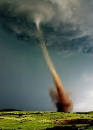Go on to discover millions of awesome videos and pictures in thousands of other categories. Twister Cow Tornado Gif On Gifer By Modimath
