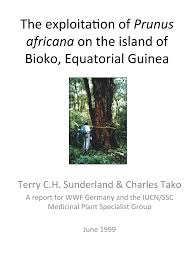 Image result for Necepsia castaneifolia