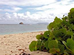 The caribbean hurricane season with a higher risk of rain lasts from june through november. Beste Reisezeit Fur La Desirade Klima Und Wetter 6 Monate Zu Vermeiden