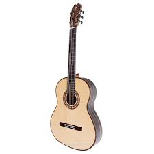 Image result for eustoma flamenco