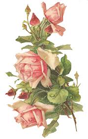 Catherine Klein Pink Roses Digital Elements Vintage Roses Vintage Flowers Rose Art