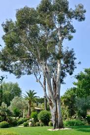 Le Jardin En Son Domaine Au Milieu Des Vignes Beaux Jardins Les Plus Beaux Jardins Jardins