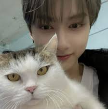 Popular What Dino Are U Quizzes