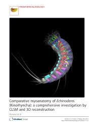 One of the loudest and most colorful birds of eastern back yards and woodlots, the blue jay is unmistakable. Pdf Comparative Myoanatomy Of Echinoderes Kinorhyncha A Comprehensive Investigation By Clsm And 3d Reconstruction