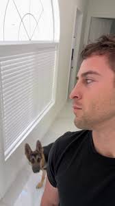 Canon Ryder German Shepherd