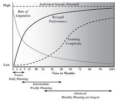 A Linear Progression Based Ppl Program For Beginners Fitness