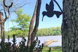 That's $569 below the national average rent of $1,469. A Shore Thing The River Front Paradise Houses For Rent In Rogersville Alabama United States