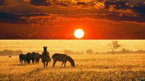 Maybe you would like to learn more about one of these? The Beauty Of Africa Landscapes And Wildlife Youtube