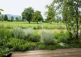 Oktober 2021 sind lindau und die region gastgeber der bayerischen gartenschau. 3 Konzepte Der Gartengestaltung Callwey