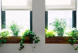 indoor window planter