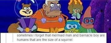 We did not find results for: Cursed Spongebob 9gag