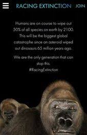 The Sixth Mass Extinction Humans Are On Course To Wipe Out 50 Of All Species On Earth By 2100 This Will Racing Extinction Save Animals Slogans Save Animals