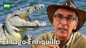 Autoridades localizan cocodrilo en una casa en el Mamey de Cenoví