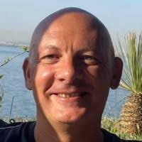 1100+ perfiles de «Zingale»