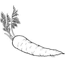 100% free, no strings attached! Top 10 Free Printable Vegetables Coloring Pages Online