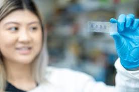 Next gen business thinkers tackle real-world issues, News, La Trobe  University