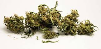 Cannabis Les Recommandations Du Pr Dautzenberg Pour Fumer Propre Sciences Et Avenir