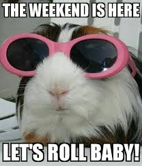 Saturday is the most awaiting day in week because it's the best day to do everything you want and it is the perfect day to make the world your oyster. Weekend Jokes