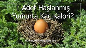 1 Adet Haslanmis Yumurta Kac Kalori Diyetisyen Tugce Sert