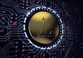 Türkiye'de işlem yapan thodex isimli sanal kripto para borsası kullanıcıları, mağduriyetin son halkası oldu. How To Buy Litecoin From Thodex Getting Litecoin With A Thodex Credit Card