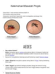 Posted by chikunxpert at 3:59 pm. Kelemahan