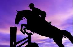 Revery Equine — Oklahoma Hunter Jumper Association