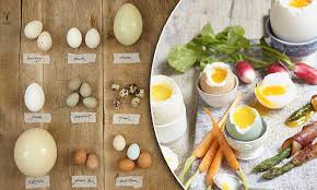 Baked goods made with yolks only have a lovely deep. 11 Other Eggs You Should Be Eating Instead Of Hen S Eggs Daily Mail Online