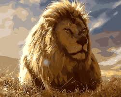 Shop for lion baby room decor online at target. China Wall Art Hot Lion Photo Diy Digital Painting By Numbers For Living Room Decor China Digital Painting And Oil Painting Price