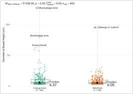 Image result for Brachystegia torrei