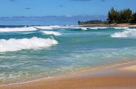 Ample parking and facilities available. Beach Weather Forecast For Waimea Bay Beach North Shore United States