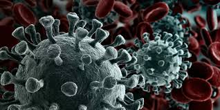 Check spelling or type a new query. Corona Virus Schuchtermann Klinik Bad Rothenfelde