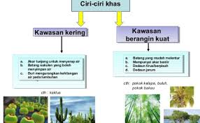 Start studying istilah sains tahun 5 (bab 1). Sains Tahun 5 Ciri Khas Tumbuhan Melindungi Diri Daripada Musuh Cute766