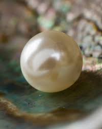 Image result for Pearl