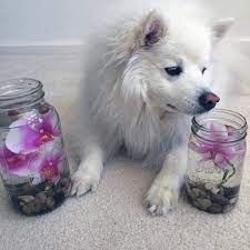 Pin On Instagram Posts