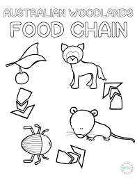 1075x808 amazing australian flag outline to colour in australia coloring. Australian Woodland Animal Coloring Pages The Inspiration Edit