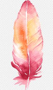 We did not find results for: Watercolor Feathers Png Images Pngwing