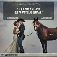 Corridosvip Spanish Quotes Soulmate Quotes Narcos Quotes