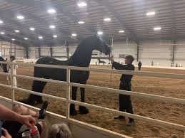 We did not find results for: Black Horse Stable Home Facebook