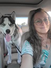 Dog sitter needed for 8-3 tomorrow