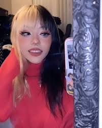 Lina Sur Instagram Duhhhhh In 2020 Grunge Hair Hair Inspo Color Split Dyed Hair